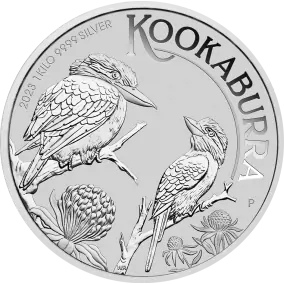 Kookaburra | Argent|  1 Kilo