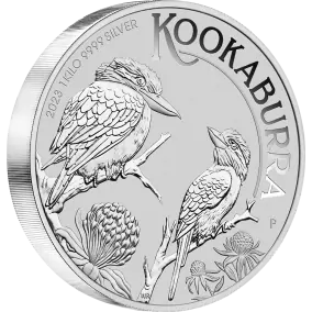 Kookaburra | Argent|  1 Kilo