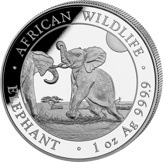 Somalie Èléphant | Argent |  1oz